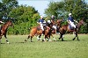UKPA NC SAT_2121